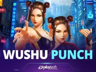 Wushu Punch™ game thumbnail